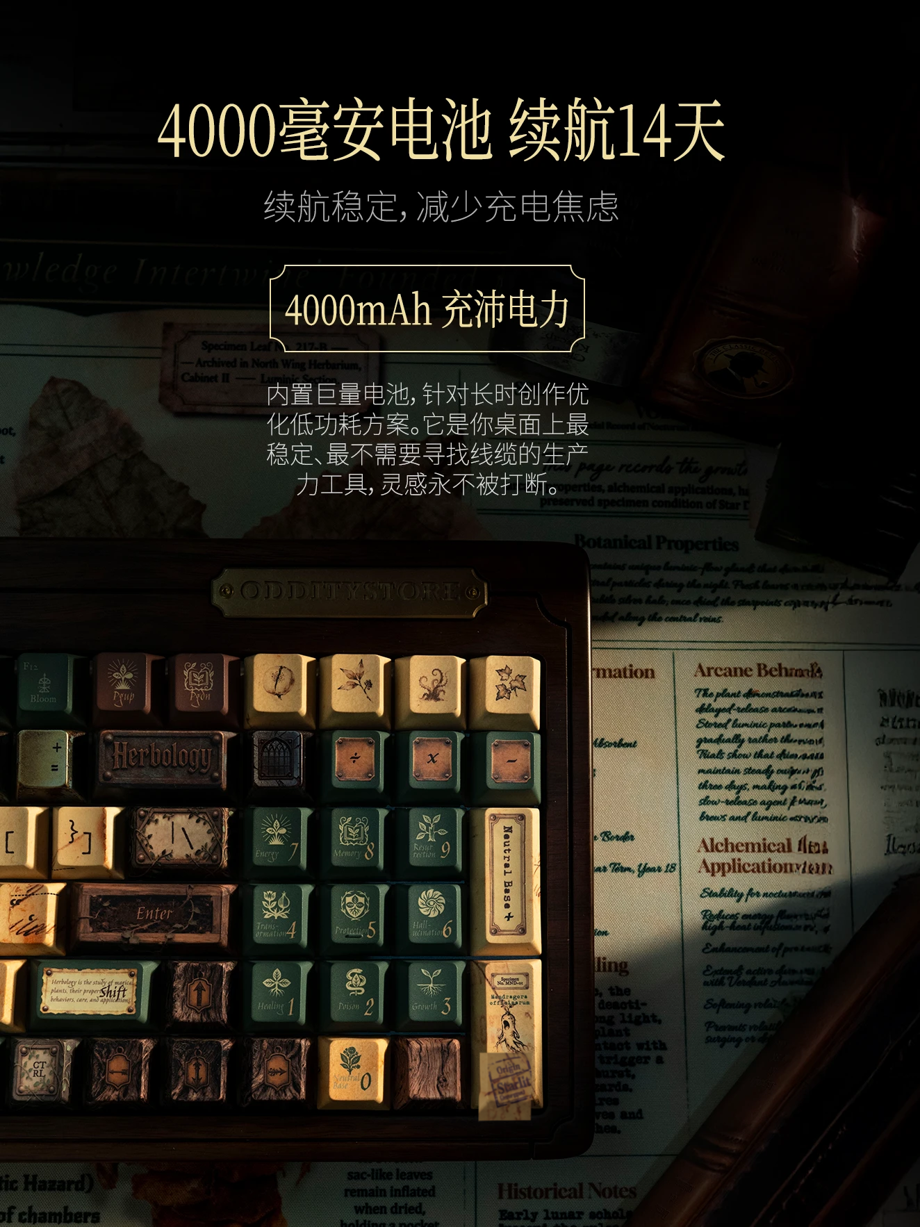 大文豪100键盘套件 产品详情 10